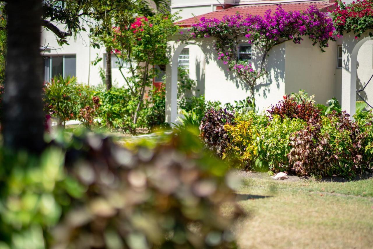 Antigua Village Beach Resort Dickenson Bay Ngoại thất bức ảnh