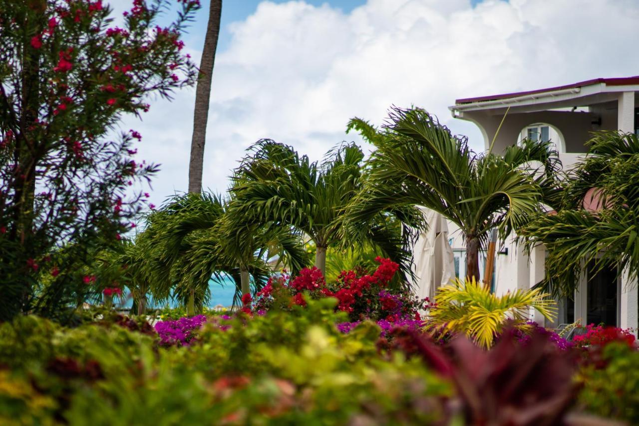 Antigua Village Beach Resort Dickenson Bay Ngoại thất bức ảnh